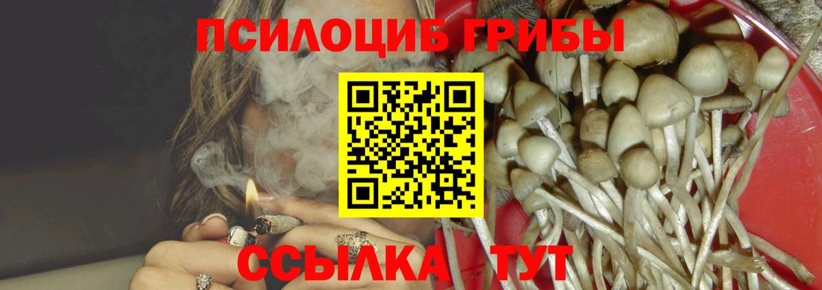 Псилоцибиновые грибы GOLDEN TEACHER Сергиев Посад
